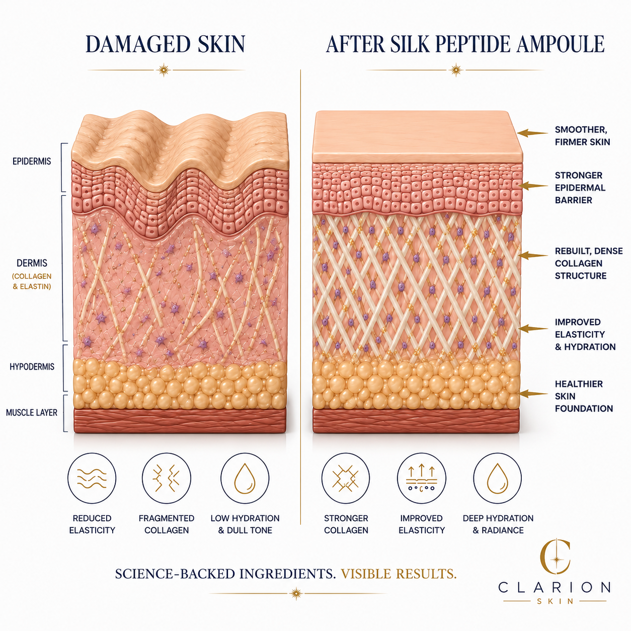 Clarion Deep Recovery Collagen Ampoule